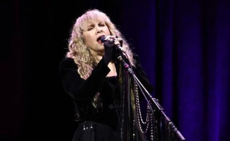 Stevie Nicks injury